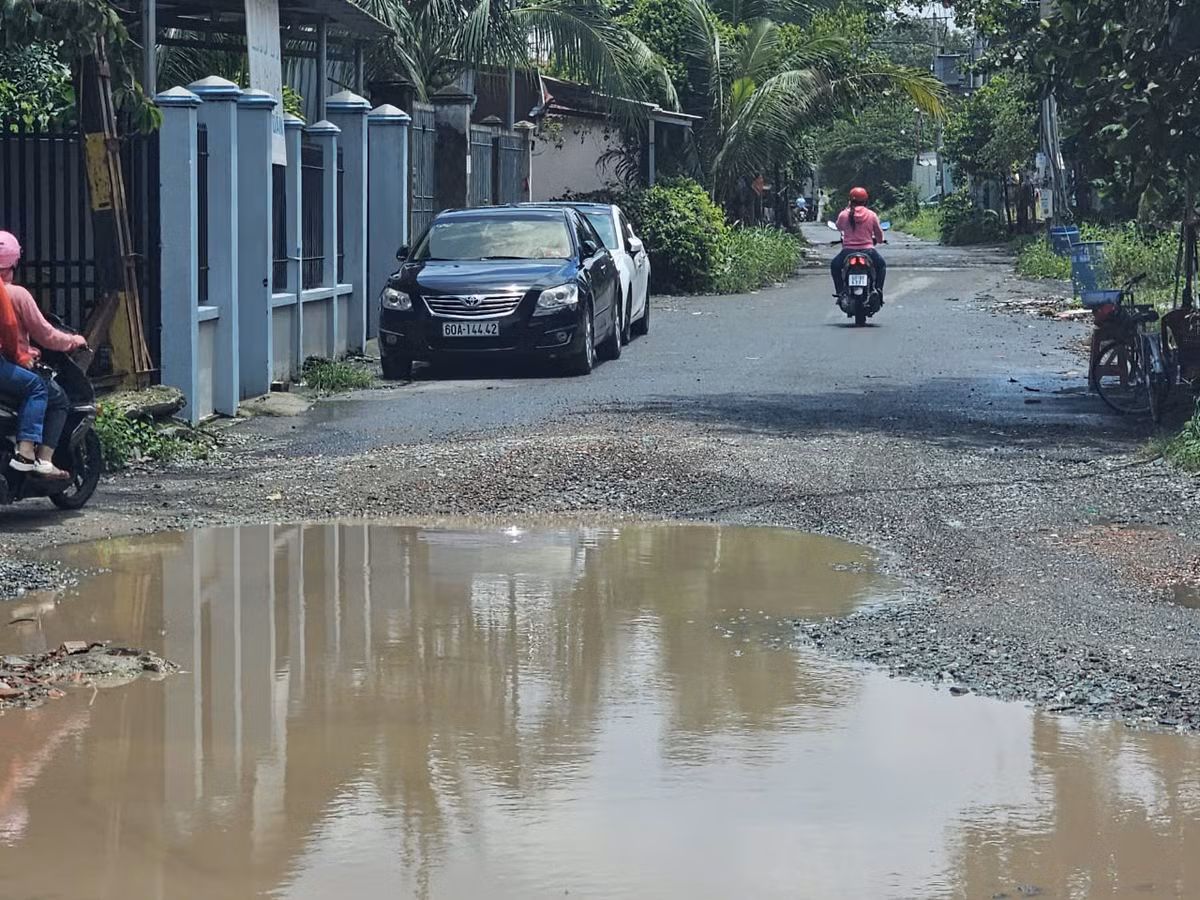 Vũng sình lớn tồn tại từ lâu. Ảnh HĐ