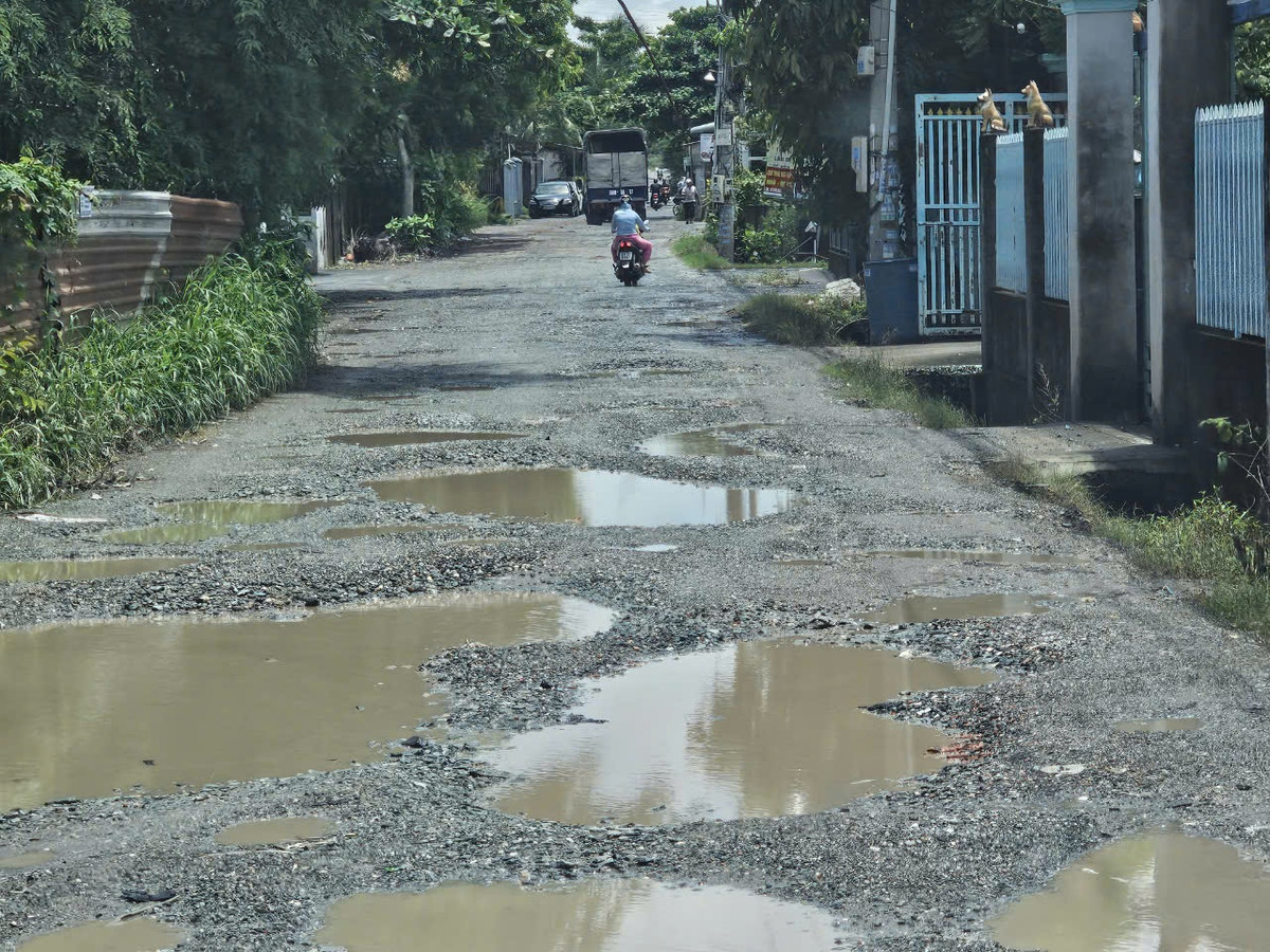 Mỗi khi mưa xuống cả con đường thành bãi sình khổng lồ. Ảnh HĐ