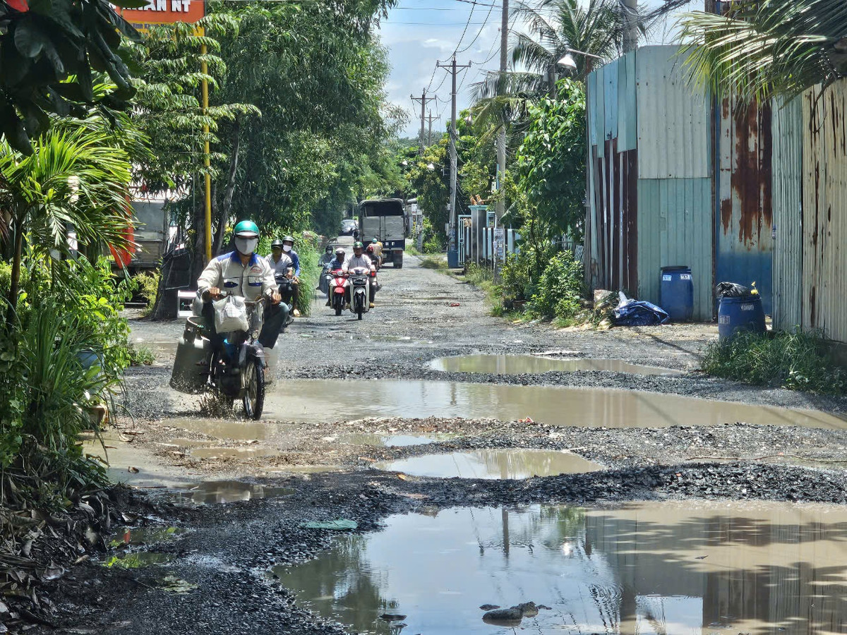 "con đường tơ lụa" mang tên Bùi Thị Xuân, nắng bụi, mưa sình Tiếp lời bà Như Hoa một người dân cũng cho hay, trời nắng những vũng sình cạn nước đi lại đã khó khăn, trời mưa nhiều người bị té, nhất là trẻ nhỏ đi học... Người dân chúng tôi hi vọng con đường sớm được chính quyền quan tâm sửa chữa để việc đi lại giao thương được thuận tiện, đời sống người dân đỡ cực, bà Hoa cho hay.