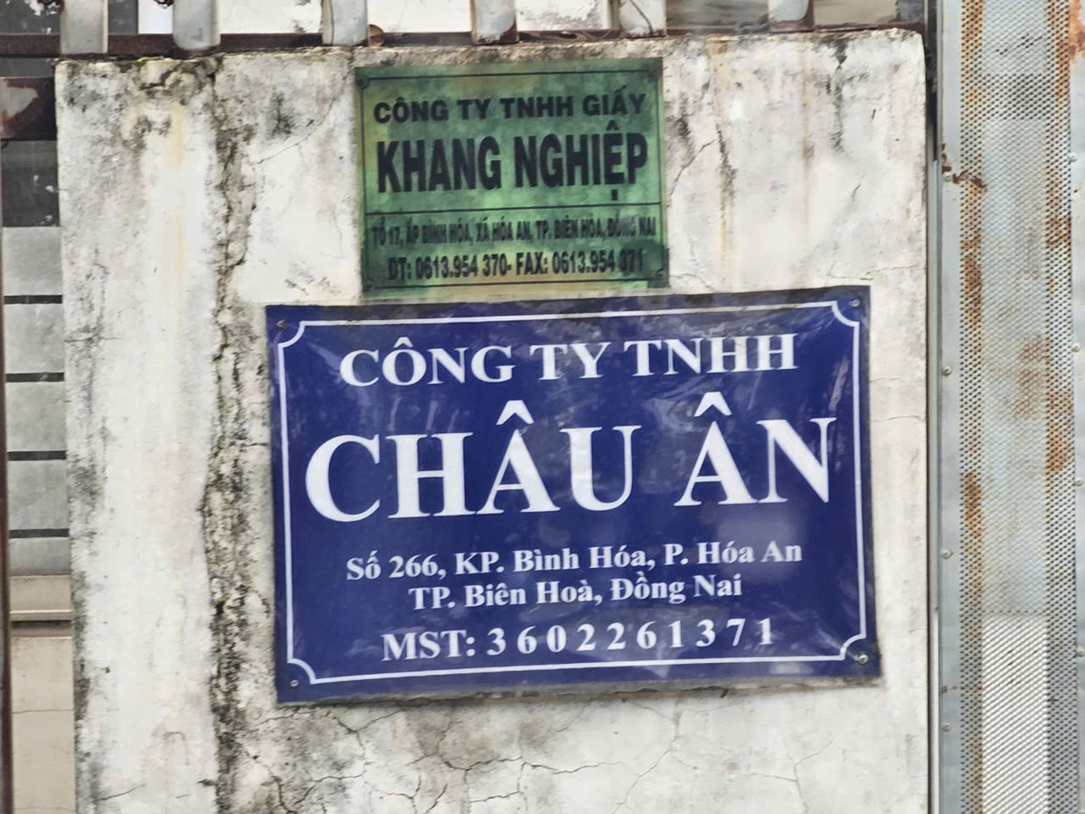 Nhiều nhà máy, xí nghiệp, bãi than, bãi phế liệu tọa lạc dọc tuyến đường Bùi Thị Xuân. Ảnh HĐ