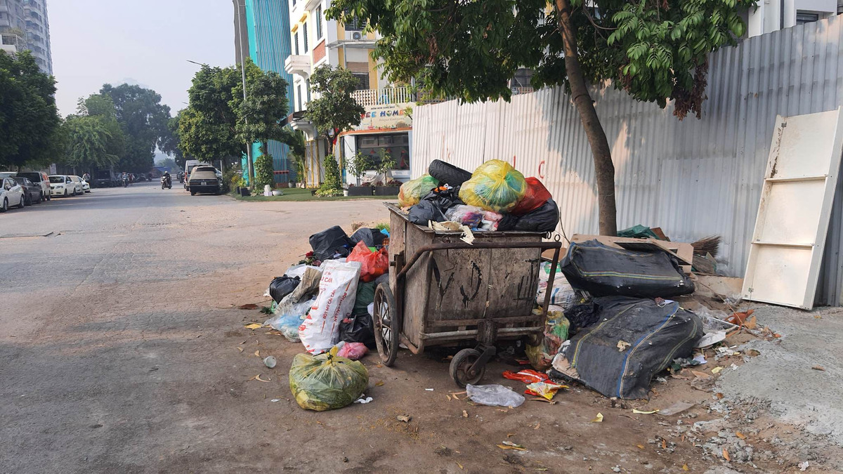 Rác thải sinh hoạt được tập kết ngay lòng đường.