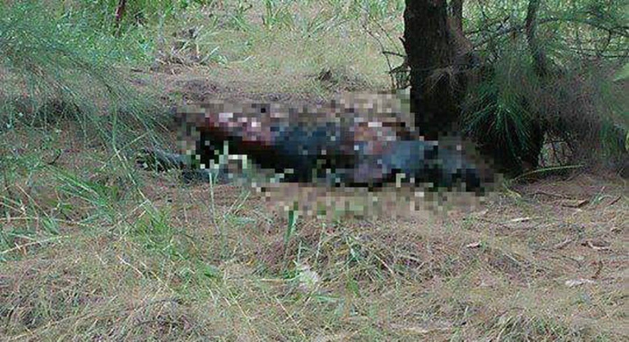 Phat hien thi the dan ong chay den, dang phan huy o sau nha