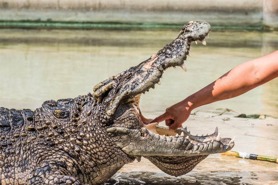 Nguoi dan ong cay mom ca sau, cuu cho cung thoat chet can ke