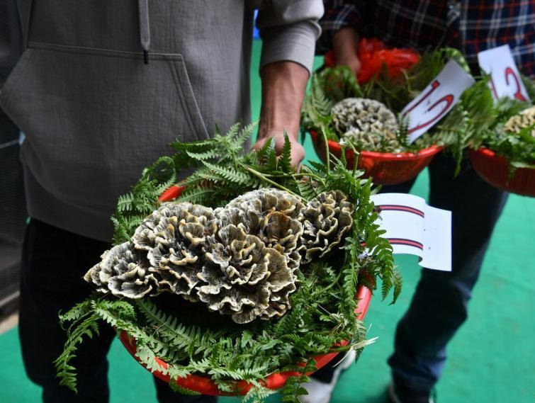 Ky la loai nam vi khuan dang so, co gia cuc cao-Hinh-2