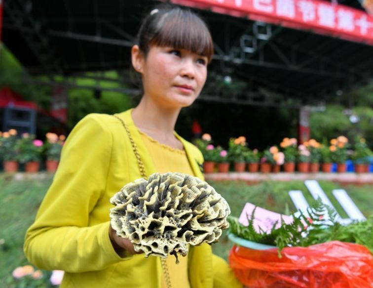 Ky la loai nam vi khuan dang so, co gia cuc cao