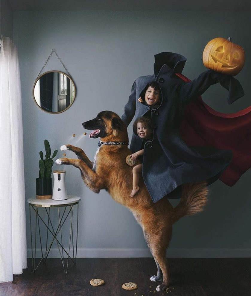 Tuổi thơ của các em sẽ được lưu giữ lại bằng những bức ảnh tuyệt vời như thế này.