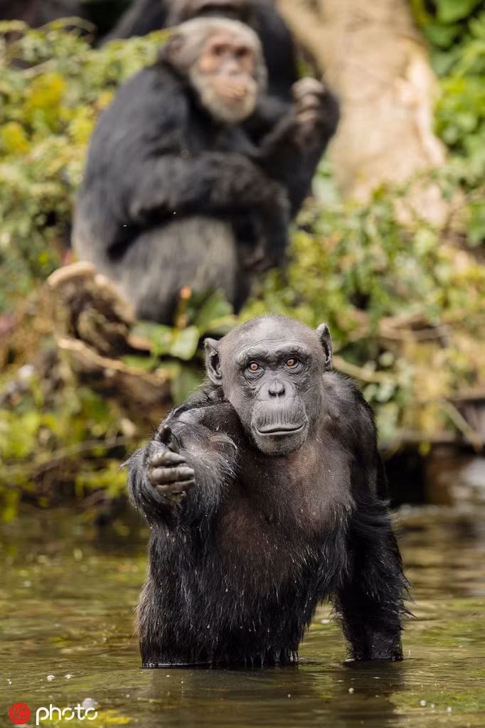 Khoanh khac tinh tinh dua tay xin nguoi gay xuc dong manh-Hinh-3
