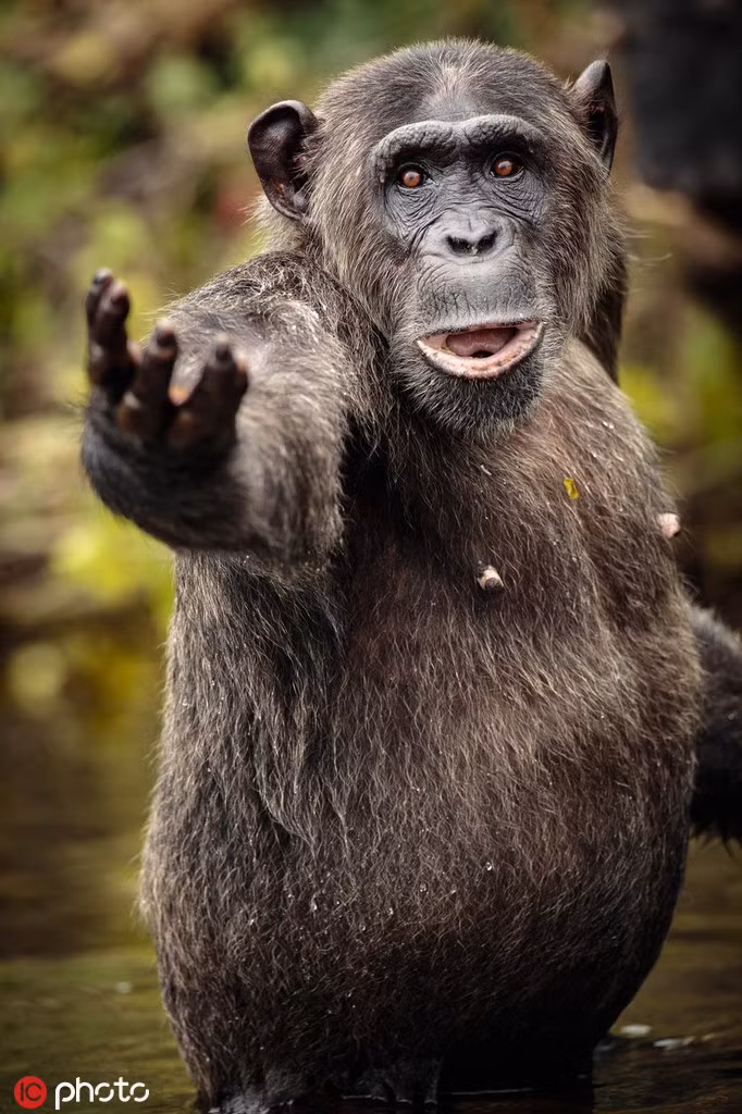 Khoanh khac tinh tinh dua tay xin nguoi gay xuc dong manh-Hinh-4