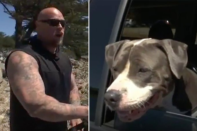 Ca map tra thu can chu chay mau lenh lang, chu cho lieu minh...