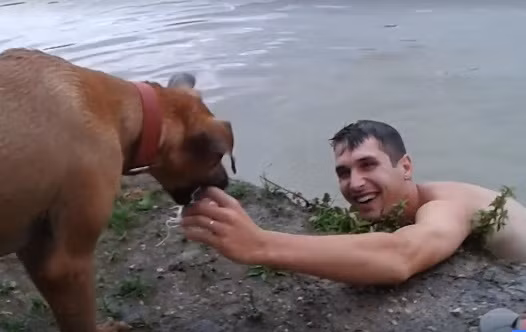 Nhay xuong ho thu long cho cung, chu nhan roi nuoc mat chung kien...-Hinh-4