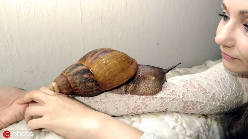 La ky gai tre thich nuoi oc sen khong lo, de bo tren nguoi-Hinh-5