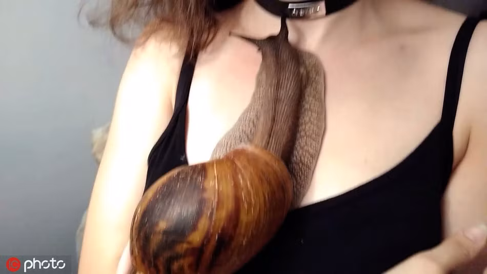 La ky gai tre thich nuoi oc sen khong lo, de bo tren nguoi