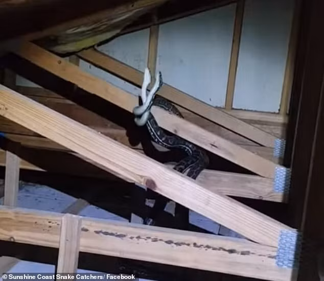 Choang tran khong lo oan minh danh nhau tren mai nha vi... 