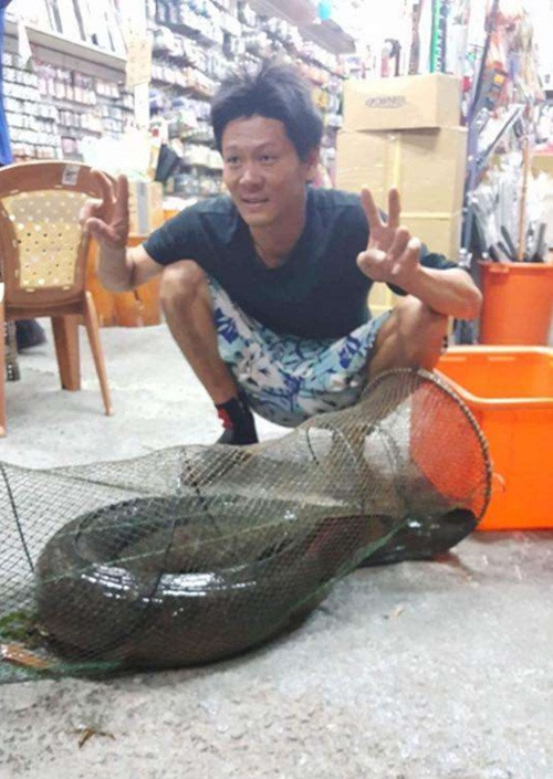 Tại Thạch Cương, Đài Trung, một người đàn ông họ Trần đã bắt được một con cá chình hoa khổng lồ, dài đến 175cm, nặng 22,8kg, tính ra đã khoảng 35 tuổi, cực kỳ hiếm thấy.