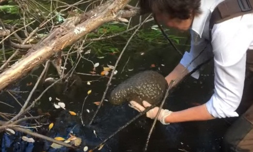 Sinh vat nhu nao nguoi xuat hien trong ho, khoa hoc tiet lo...