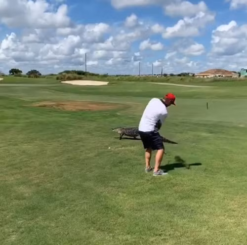 Ca sau di ngang thach thuc, tay golf hanh dong la lung-Hinh-2