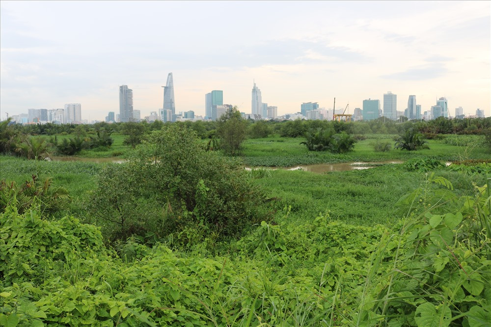 20 nam quy hoach o Thu Thiem: Dan con doi den khi nao?-Hinh-3