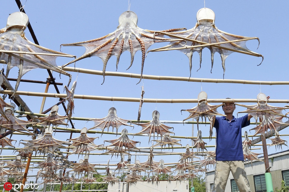 Rất nhiều người cho biết, khi nhìn vào cảnh tượng này, họ liên tưởng luôn đến những cảnh nổi tiếng trong phim khoa học viễn tưởng, khi người ngoài hành tinh đổ bộ xuống, xâm chiếm và thôn tính địa cầu. 