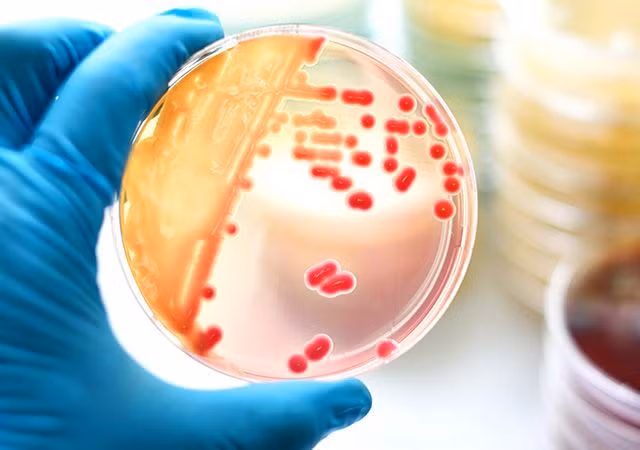 Co gai 17 tuoi cap cuu vi an thit nuong, chuyen gia chi ra 4 dieu cam ky