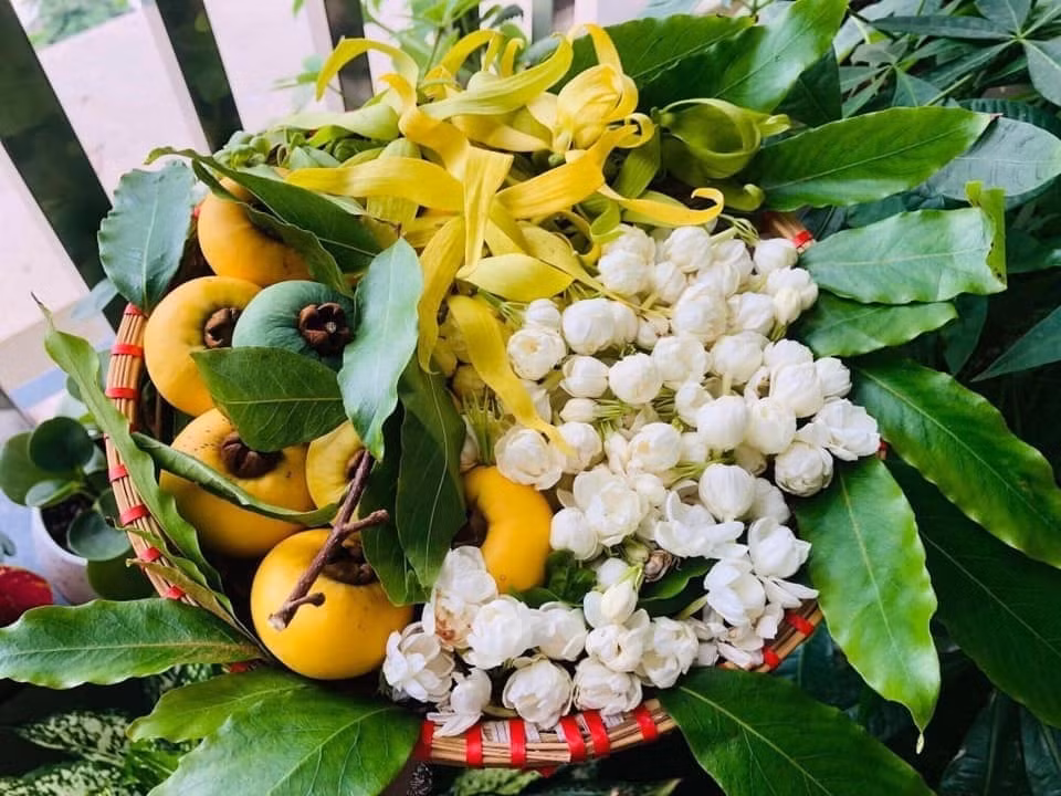 Hai hung cherry My re beo, dao Tay Ban Nha hoa ra hang...Tau-Hinh-5