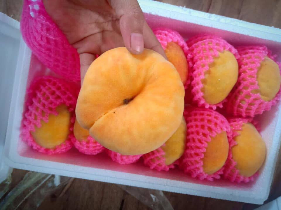 Hai hung cherry My re beo, dao Tay Ban Nha hoa ra hang...Tau