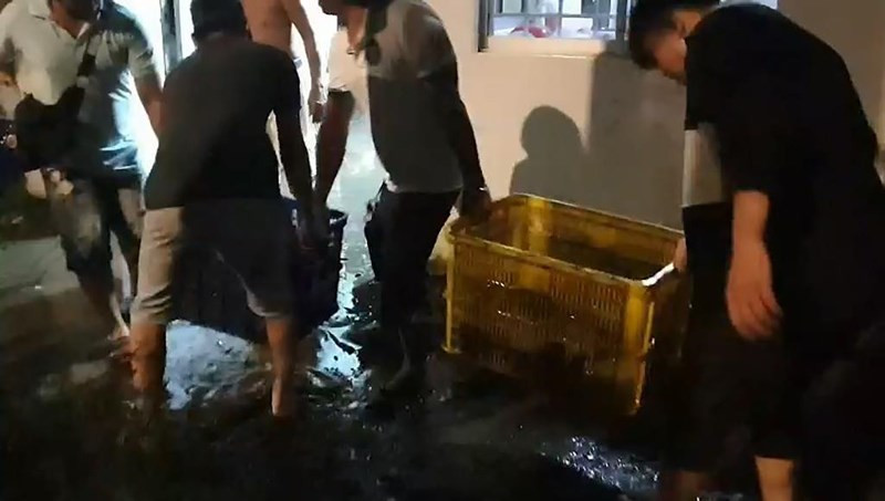 Gan 3 tan ca ro bo lon nhon tren quoc lo do xe tai lat ngang-Hinh-2