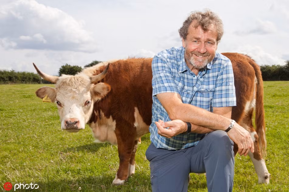 Trong những bức ảnh, có thể thấy những con bò mini này không lạ lẫm gì con người, thậm chí còn tương tác rất nhiệt tình và vui vẻ. Một vài khoảnh khắc, những con bò này còn có biểu hiện khuôn mặt vô cùng thần thái, khiến nhiều người không khỏi ngạc nhiên, thích thú. 