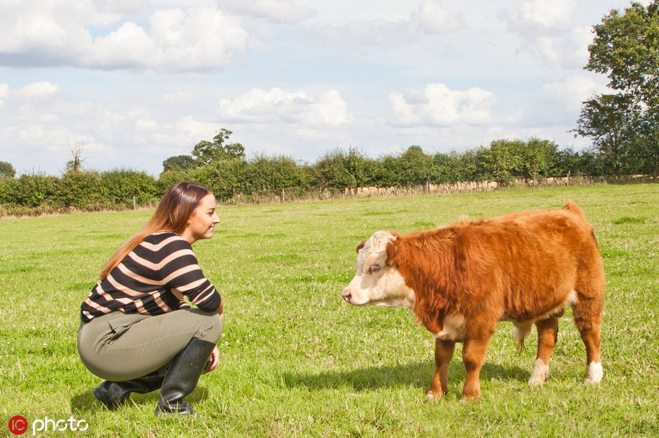 Mặc dù là loài quý hiếm, chúng cũng thích nghi tốt với nhiều loại môi trường, khí hậu khác nhau, không đòi hỏi những loại thức ăn đặc biệt. Hơn nữa còn cần ít không gian trên đồng cỏ, dễ quản lý hơn. 