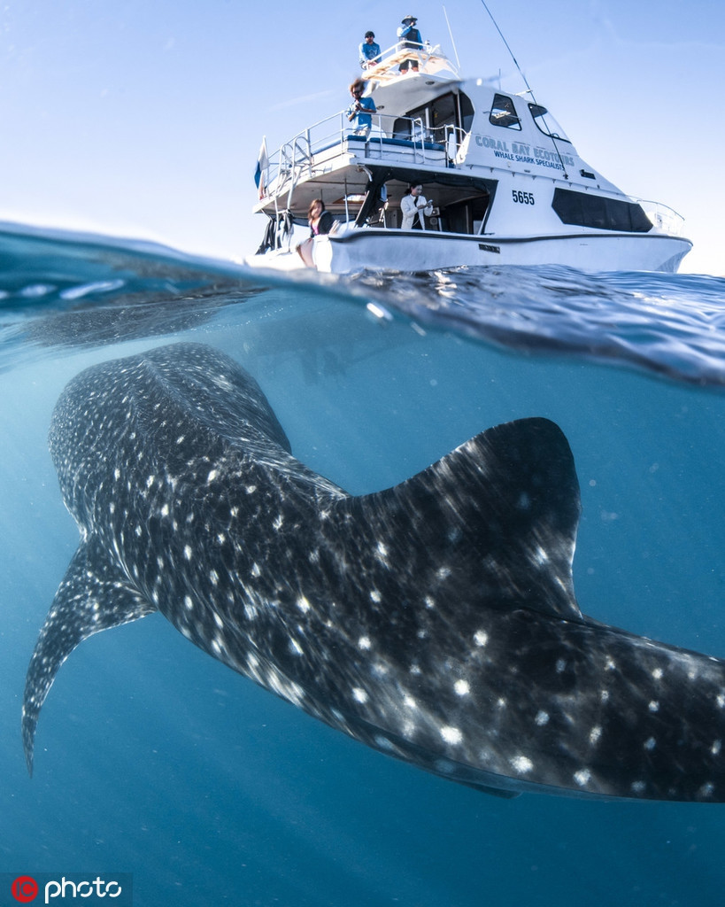 Ca map voi khong lo ap sat tau tho lan gay choang ngop