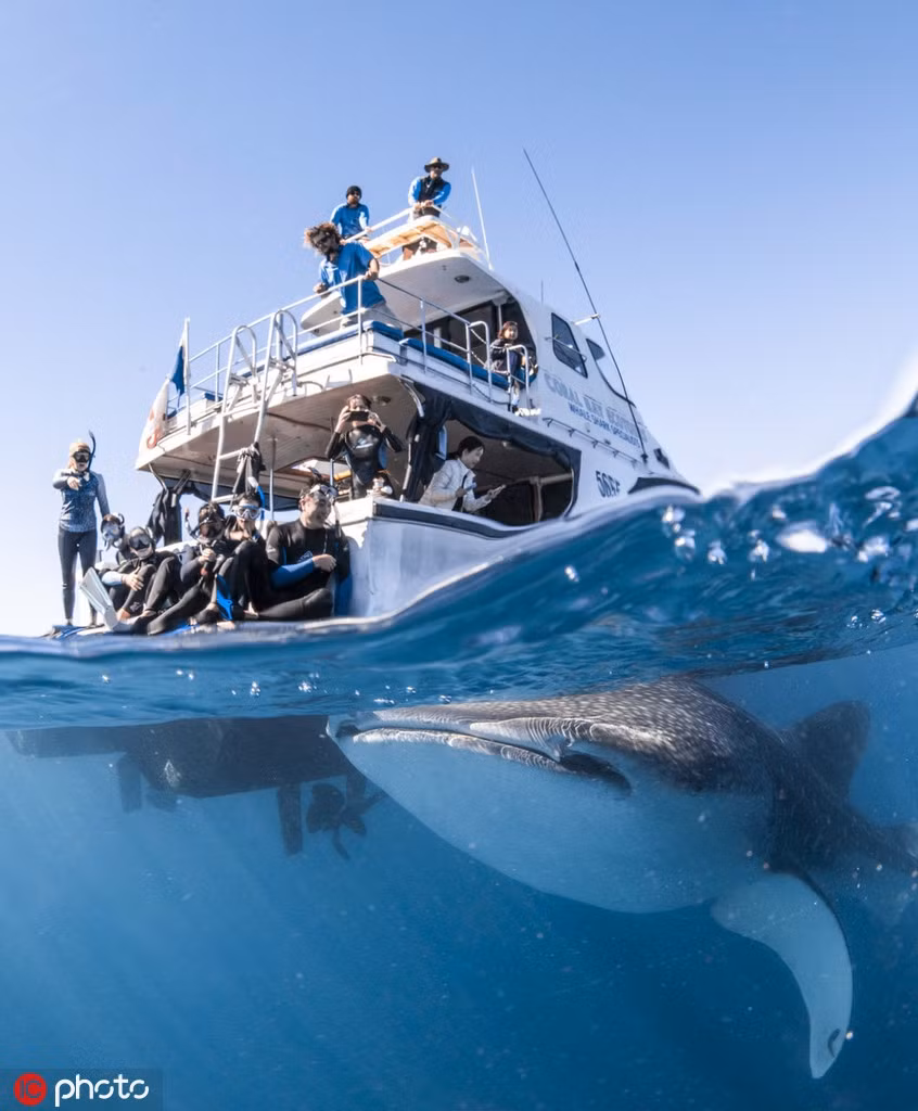 Ca map voi khong lo ap sat tau tho lan gay choang ngop-Hinh-2