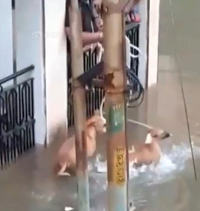 Mua to khung khiep, ca sau ngup lan tren pho doa nguoi-Hinh-3