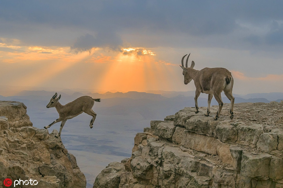 Ngoan muc khoanh khac de nui bay luon trong anh hoang hon-Hinh-3