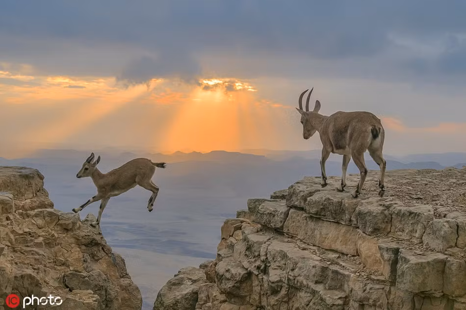 Ngoan muc khoanh khac de nui bay luon trong anh hoang hon-Hinh-3