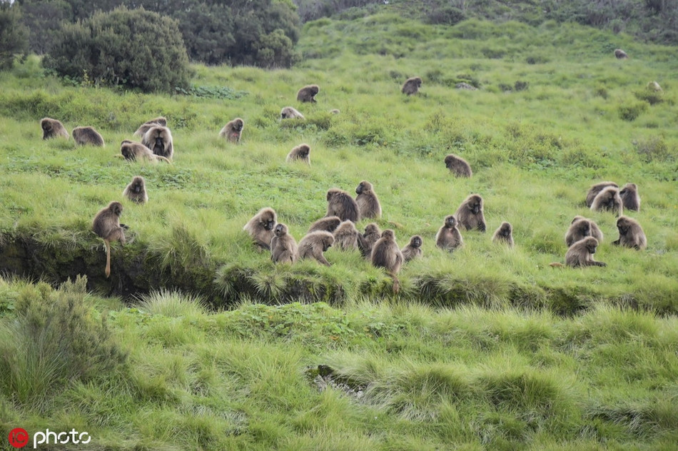 Loai khi la lung co bom cuc dieu, hut anh nhin lan dau tien-Hinh-4