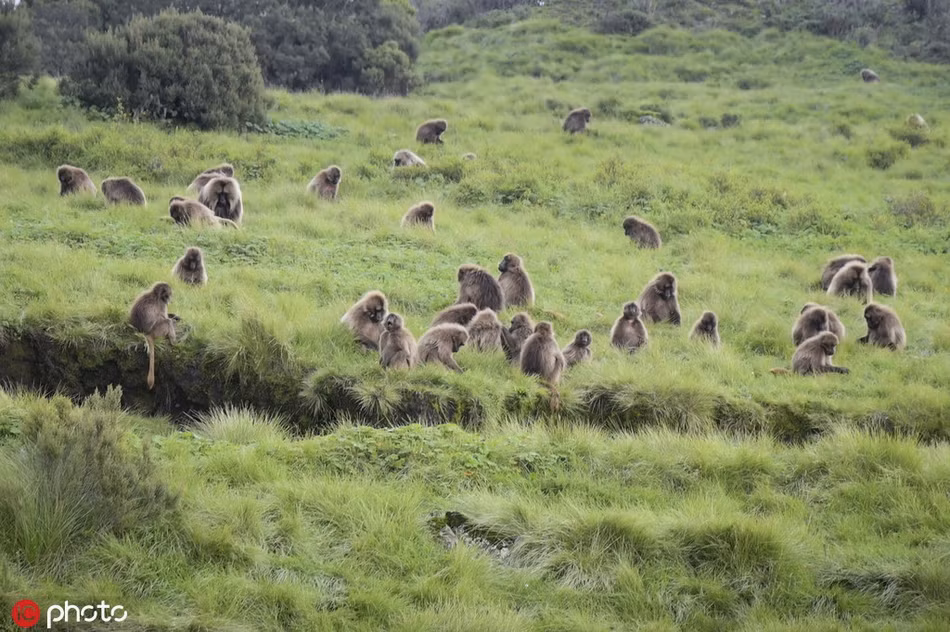 Loai khi la lung co bom cuc dieu, hut anh nhin lan dau tien-Hinh-4
