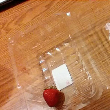 Đúng là nghe lời mẹ dặn không ăn hết chỗ dâu tây còn gì