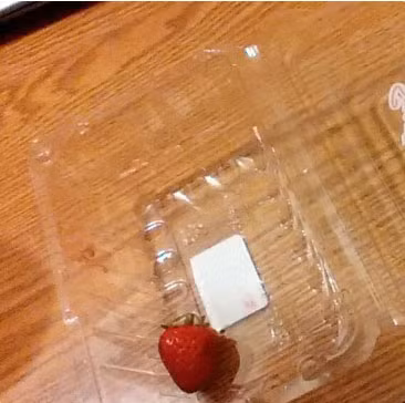 Đúng là nghe lời mẹ dặn không ăn hết chỗ dâu tây còn gì