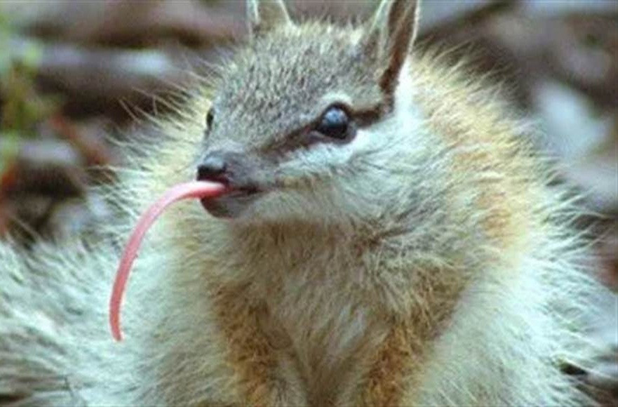 Soc nho lo khuon mat that, khien nguoi so 