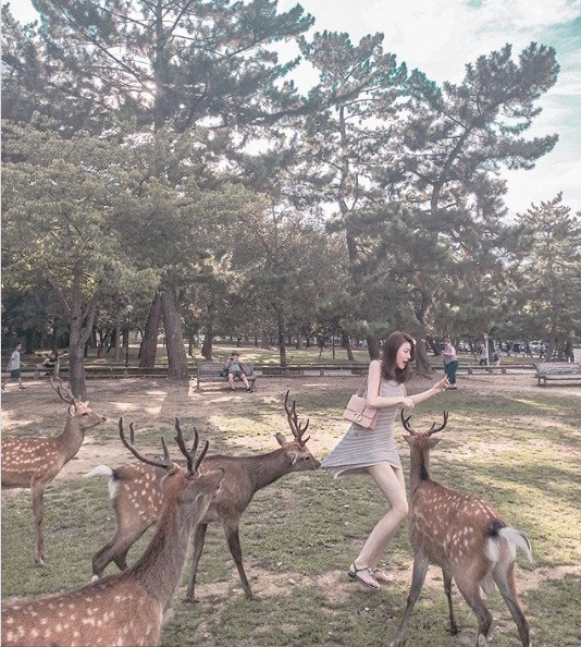 Co gai dien vay ngan cho huou an, con vat bong hanh dong 