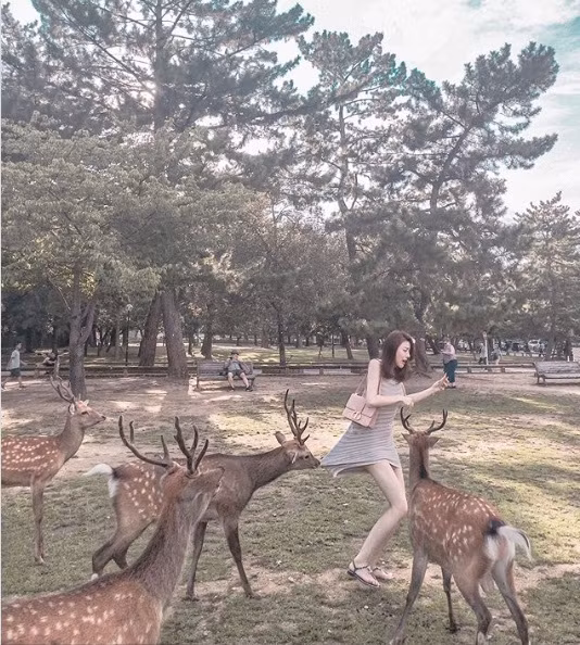 Cô gái diện váy ngắn cho hươu ăn, con vật bỗng hành động "sốc"... Co gai dien vay ngan cho huou an, con vat bong hanh dong