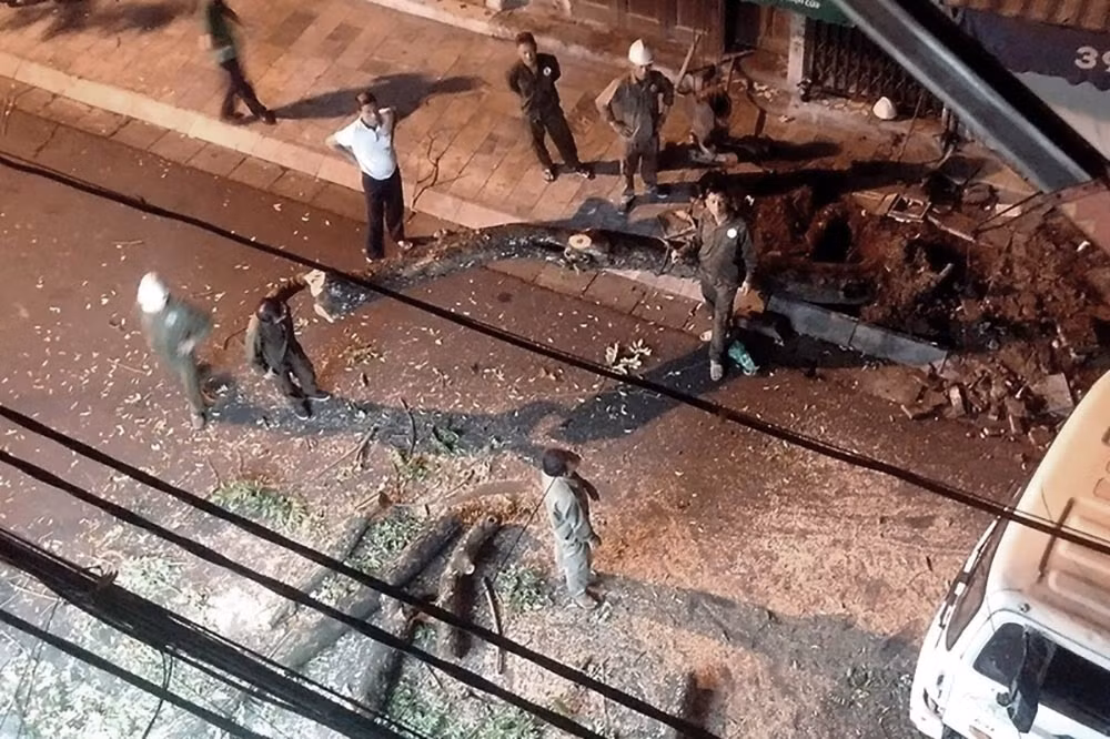 Vi sao cay sua do o pho co Ha Noi bi chat ha giua dem?