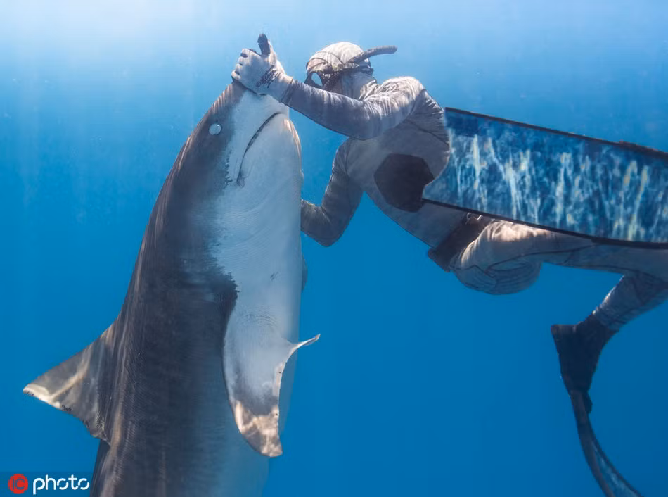 Thot tim canh tho lan thoi mien ca map khong lo