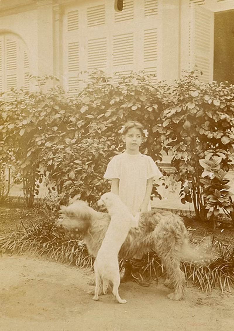 Em bé người Pháp và những chú chó tại tư gia ở Nam Kỳ.