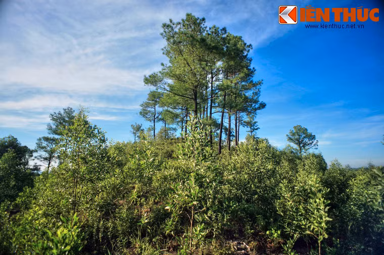 Quang cảnh gần đỉnh núi.