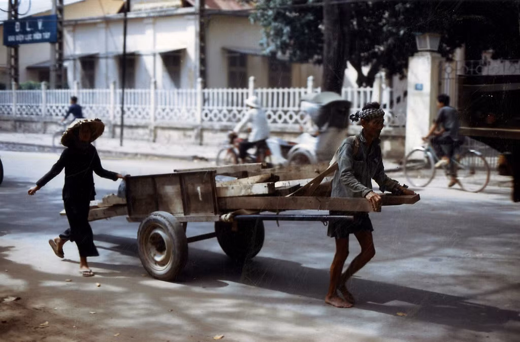 Những người cửu vạn.