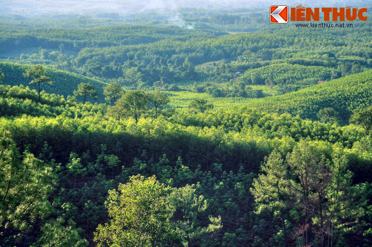 Cảnh rừng núi bao la nhìn từ đỉnh Đại Thiên Thọ.