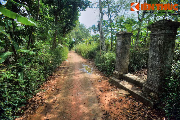 Hệ thống đường sá, cây xanh nối liền với nhau một cách tự nhiên và sinh động của một vùng sinh thái độc đáo, kết hợp hài hòa giữa trời, đất và con người.