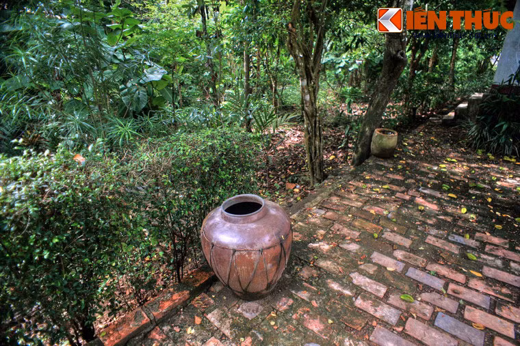 Điều lí thú là các ngôi nhà rường cổ ở Phước Tích liên kết với nhau, chỉ cách nhau một khu vườn rộng với những hàng chè tàu xanh, thẳng.