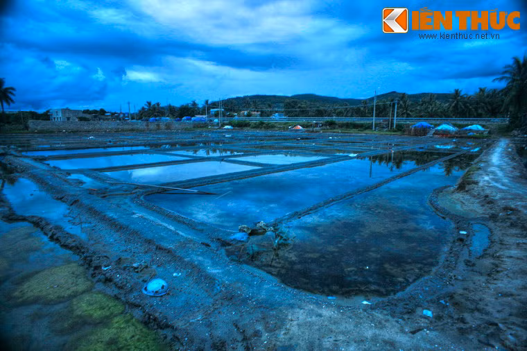 Muối Sa Huỳnh từ lâu có mặt khắp các thị trường miền Trung và Tây Nguyên, và dùng nhiều trong công nghiệp chế biến thực phẩm tiêu dùng.