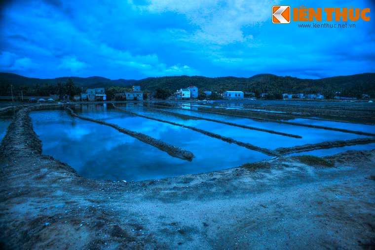 Hiện nay, đồng muối Sa Huỳnh có diện tích sản xuất trên 100ha, hàng năm, cung cấp cho thị trường hàng nghìn tấn muối.